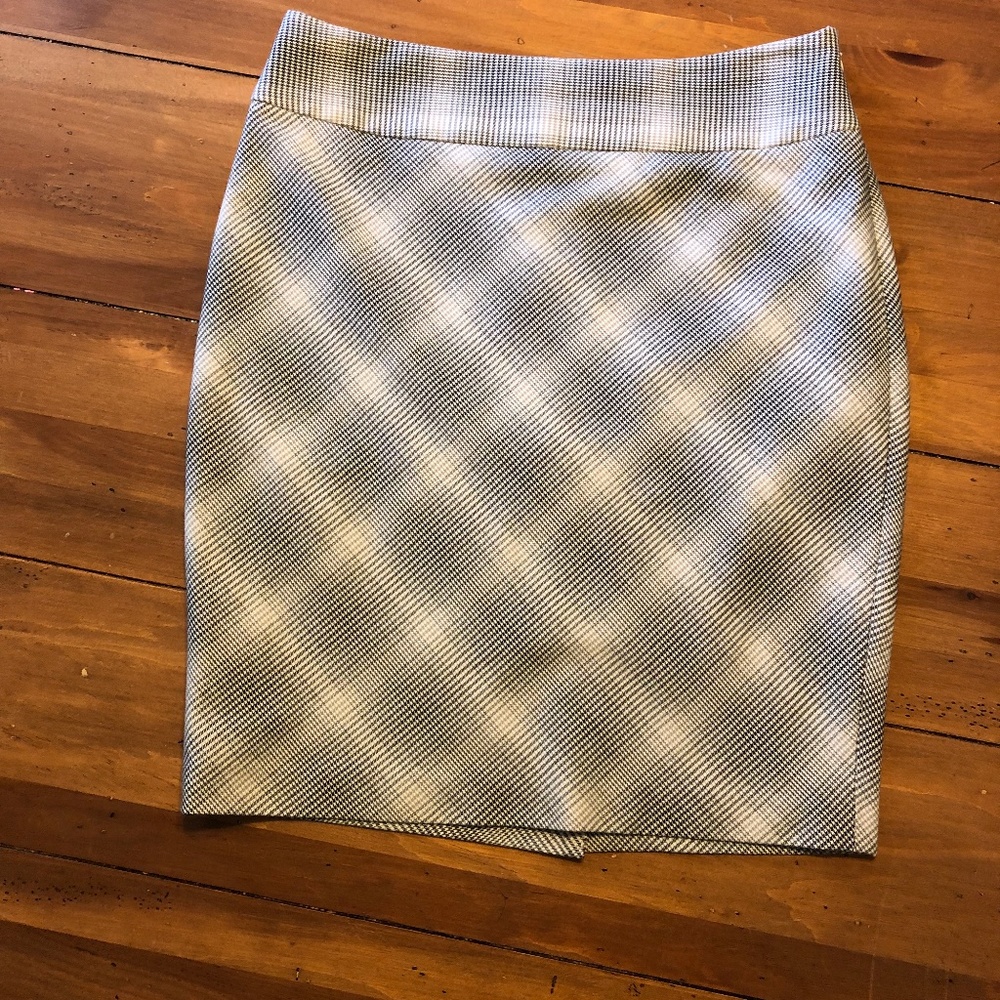 THE LIMITED skirt